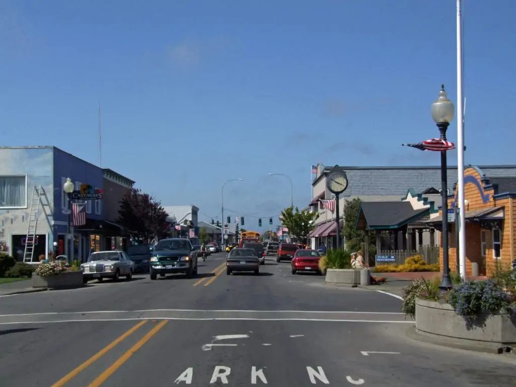 Comprehensive Chimney Services in Long Beach, WA, and Surrounding Areas